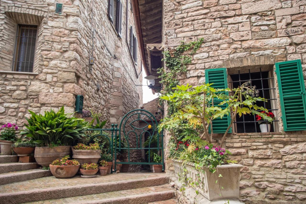 La Viola Di Assisi Hotel Exterior photo