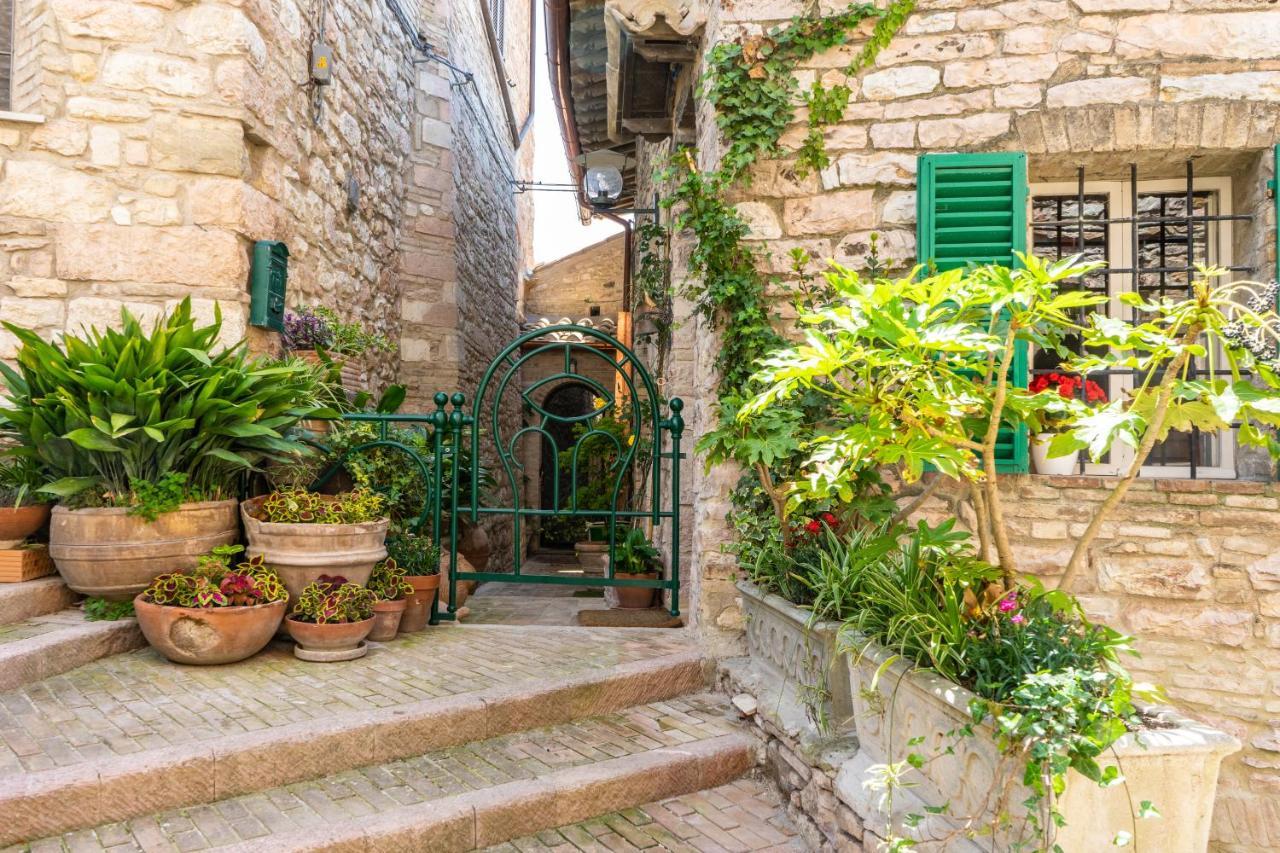 La Viola Di Assisi Hotel Exterior photo