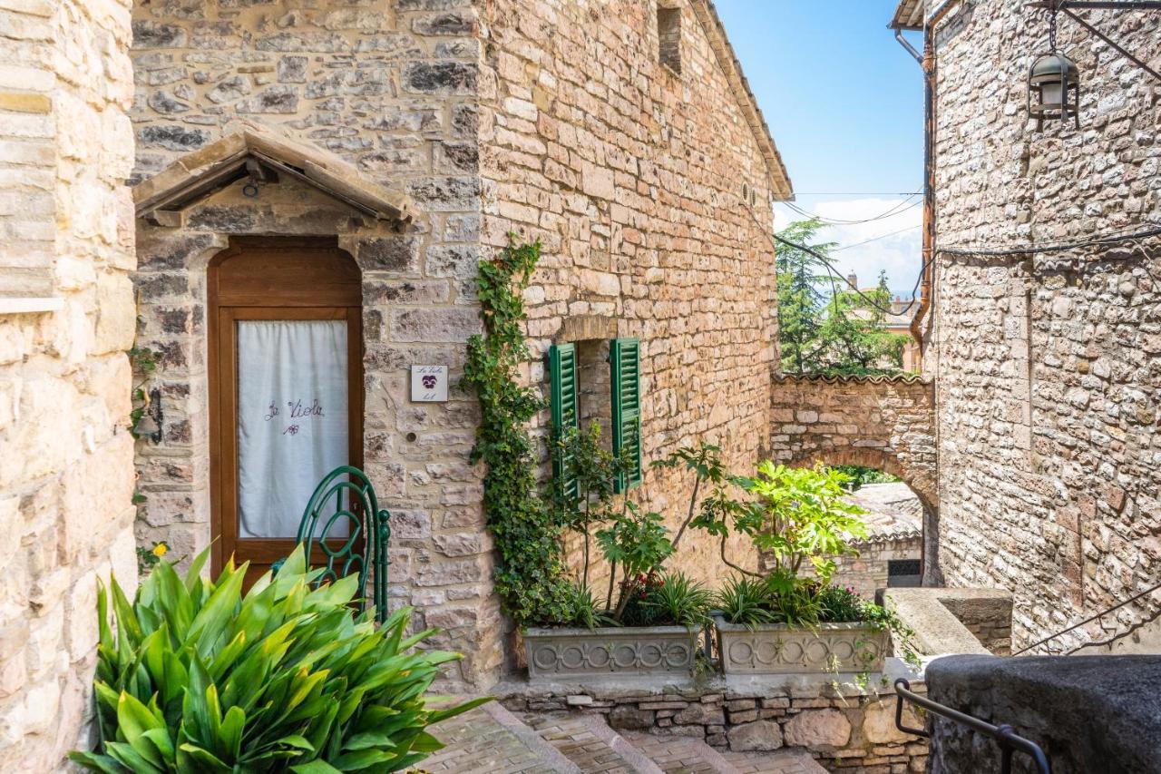 La Viola Di Assisi Hotel Exterior photo